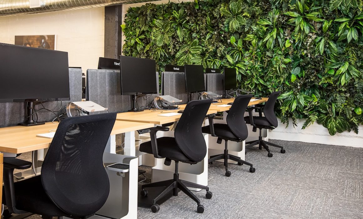 Eco-Friendly Office Supplies for Greener Workspaces